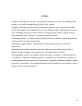 Strateginis marketingo planavimas, organizavimas ir kontrolė 10 puslapis