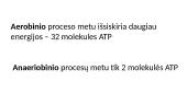 Anaerobinis kvėpavimas ir rūgimas (skaidrės) 4 puslapis