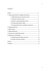 Marketinginiai naujų prekių kūrimo proceso sprendimai 2 puslapis