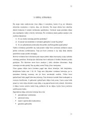 Marketinginiai naujų prekių kūrimo proceso sprendimai 12 puslapis