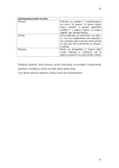 Marketinginiai naujų prekių kūrimo proceso sprendimai 15 puslapis