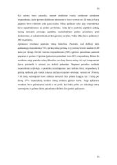 Marketinginiai naujų prekių kūrimo proceso sprendimai 17 puslapis