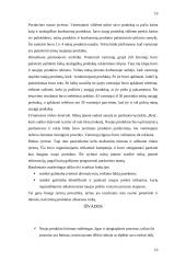 Marketinginiai naujų prekių kūrimo proceso sprendimai 20 puslapis