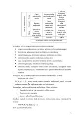 Marketinginiai naujų prekių kūrimo proceso sprendimai 6 puslapis