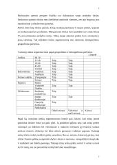 Marketinginiai naujų prekių kūrimo proceso sprendimai 8 puslapis