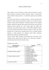 Marketinginiai naujų prekių kūrimo proceso sprendimai 10 puslapis