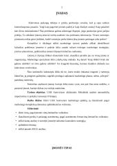 Marketingo aplinka: Mitsubishi markės automobilių importavimas ir prekyba UAB "Autovytaro" 2 puslapis