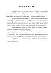 Marketingo aplinka: Mitsubishi markės automobilių importavimas ir prekyba UAB "Autovytaro" 11 puslapis