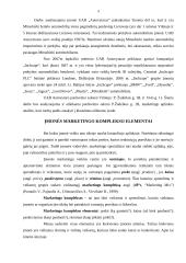 Marketingo aplinka: Mitsubishi markės automobilių importavimas ir prekyba UAB "Autovytaro" 3 puslapis