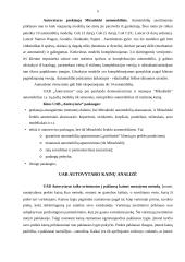 Marketingo aplinka: Mitsubishi markės automobilių importavimas ir prekyba UAB "Autovytaro" 5 puslapis