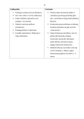 Marketingo aplinka: Mitsubishi markės automobilių importavimas ir prekyba UAB "Autovytaro" 10 puslapis