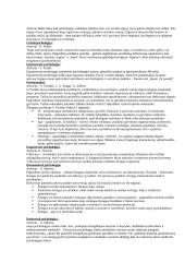 Psichologijos įvado konspektas 2 puslapis