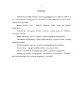 Marketingo aplinkos analizė: specializuota laminuotų grindų parduotuvė 2 puslapis