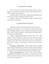 Marketingo aplinkos analizė: specializuota laminuotų grindų parduotuvė 3 puslapis