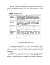 Marketingo aplinkos analizė: specializuota laminuotų grindų parduotuvė 4 puslapis