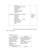 Marketingo aplinkos analizė: specializuota laminuotų grindų parduotuvė 6 puslapis