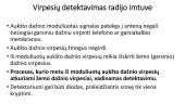 Radijo ryšio principai. Radijo siųstuvas ir imtuvas 11 puslapis