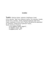 Referatas apie tankį 2 puslapis