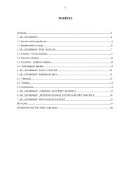 Marketingo aplinkos analizė: stipriųjų alkoholinių gėrimų gamintojas AB "Stumbras" 2 puslapis