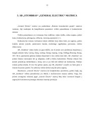 Marketingo aplinkos analizė: stipriųjų alkoholinių gėrimų gamintojas AB "Stumbras" 13 puslapis