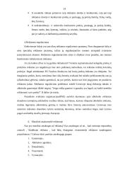 Marketingo etika 12 puslapis