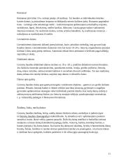 Lietuva dainų šalis 10 puslapis