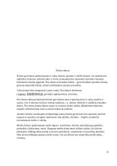 Lietuva dainų šalis 11 puslapis