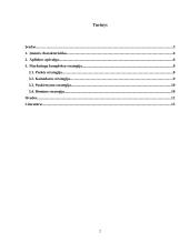 Marketingo kompleksas: maisto prekių parduotuvė "Skraja"