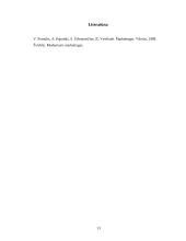 Marketingo kompleksas: maisto prekių parduotuvė "Skraja" 12 puslapis