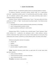 Marketingo kompleksas: maisto prekių parduotuvė "Skraja" 3 puslapis