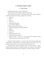 Marketingo kompleksas: maisto prekių parduotuvė "Skraja" 7 puslapis