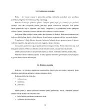 Marketingo kompleksas: maisto prekių parduotuvė "Skraja" 9 puslapis