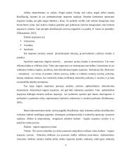 Žodinio loginio mąstymo tyrimas 3 puslapis