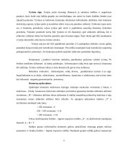 Žodinio loginio mąstymo tyrimas 5 puslapis