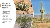 Dykumos ir pusdykumės 6 puslapis