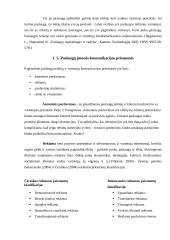 Marketingo komunikacijos ypatumai Alytaus kultūros ir komunikacijos centre (AKKC) 6 puslapis