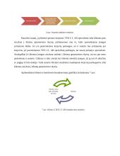 Marketingo logistika įmonėje: interneto tiekimas AB "TEO LT" 13 puslapis