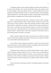 Marketingo makro aplinkos 11 puslapis