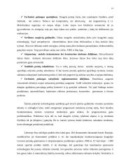 Marketingo makro aplinkos 12 puslapis