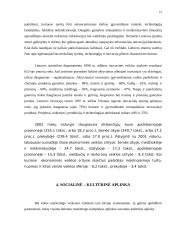 Marketingo makro aplinkos 13 puslapis