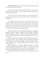 Marketingo makro aplinkos 14 puslapis