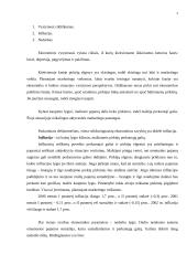 Marketingo makro aplinkos 4 puslapis