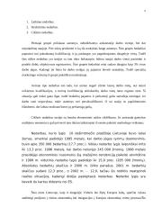 Marketingo makro aplinkos 5 puslapis