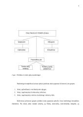 Marketingo makro aplinkos 8 puslapis