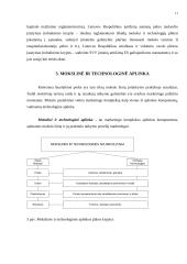 Marketingo makro aplinkos 10 puslapis