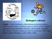 Magnis - skaidrės 11 puslapis