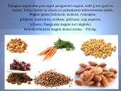 Magnis - skaidrės 12 puslapis