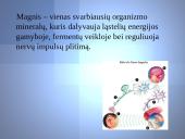 Magnis - skaidrės 4 puslapis