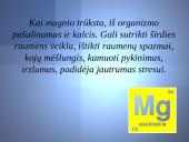 Magnis - skaidrės 6 puslapis