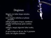 Magnis - skaidrės 7 puslapis